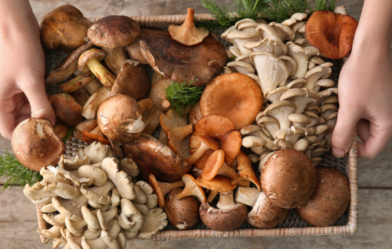 Не любите грибы? Просто не умеете их готовить! Ошибки приготовления грибов — Автор Марина Выходцева — Журнал Женское мнение